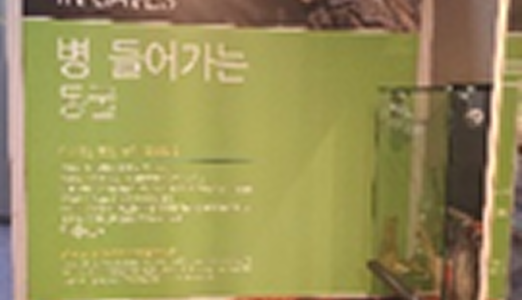 병 들어가는 동굴 이미지