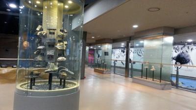 크기변환_동굴생태관 대표유물2.jpg