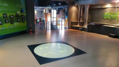 크기변환_동굴생태관 대표유물3.jpg