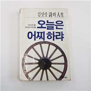 오늘은 어찌하랴