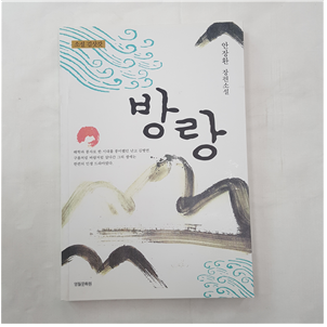 방랑 장편소설