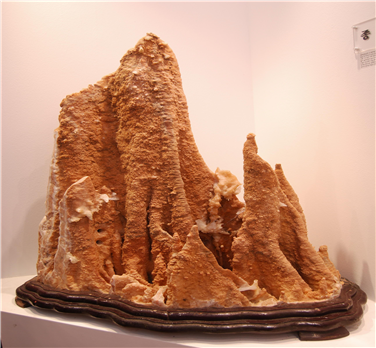 종유석(鍾乳石, stalactite) 
