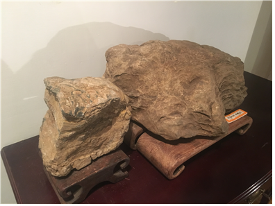 스트로마톨라이드(stromatolite)