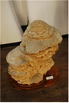 석순(stalagmite)