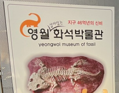 46억년의 신비 영월화석박물관
